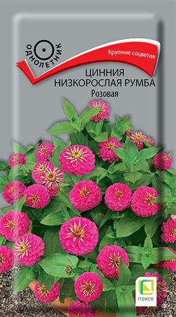 Цинния низкорослая Румба Розовая (ЦВ) (1) 0,1гр