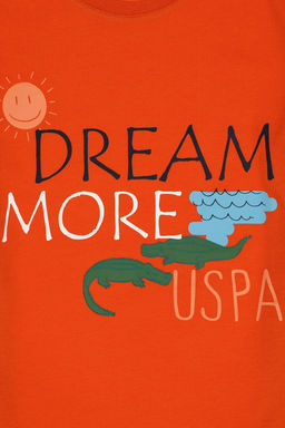 Erkek _ocuk Nar _i_e_i Oversize Bisiklet Yaka Ti__rt Sepette S_rpriz _ndirim - U.s. polo assn фото 6