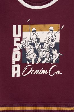 Erkek _ocuk Bordo Bisiklet Yaka Sweatshirt - U.s. polo assn фото 3