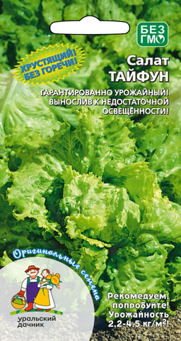 Салат ТАЙФУН  Сорт-бедствие, за голову берёшься куда девать урожай, а урожая будет много! Быстрый рост, возможность роста при любой продолжительности дня!