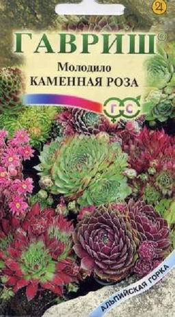 Молодило Каменная Роза 0,01г (Гавриш)