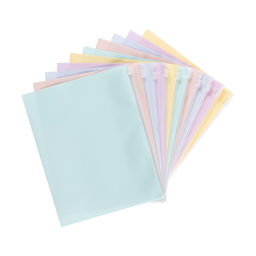 Expert Complete Trend Pastel Папка-конверт на ZIP-молнии A5+ 180 мкм диагональ 10 шт. ассорти EC211040200