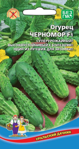 Огурец ЧЕРНОМОР F1 Высокий урожай! Устойчив к болезням! Один из лучших для засолки!