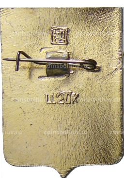 Значок Макарьев