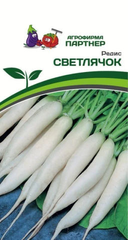 Редис Светлячок - Партнер фото 2