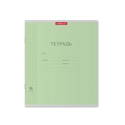 Цена за 200 шт. Тетрадь школьная ученическая ErichKrause Классика Visio зеленая, 18 листов, клетка (в плёнке по 10 шт.)  фото 51