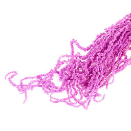 Сухие цветы амаранта, 100 г, размер листа: от 50 до 60 см, цвет фиолетовый - Simaland фото 3