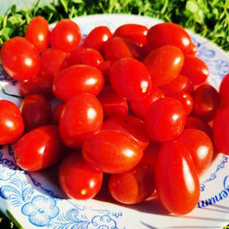 Помидоры Черри Сумасшедшие Красные Ягоды - Red Berries Crazy Cherry Tomato