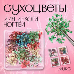 Сухоцветы для декора Яркость, в футляре, МИКС
