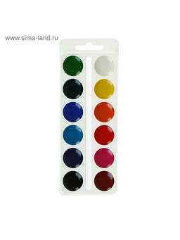 Акварель Calligrata, 12 цветов, без кисти, картон, МИКС