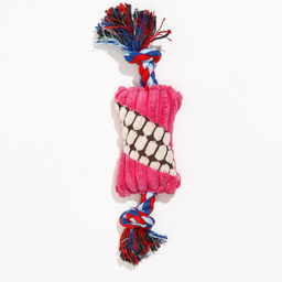 Игрушка мягкая для собак Особая кость на канате, с пищалкой, 25 см, микс цветов - Пижон фото 3