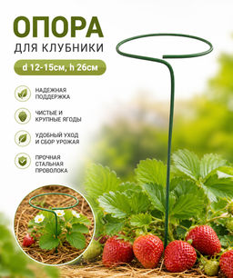 Опора для клубники (ст.проволока, d 12-15см, h 26см)