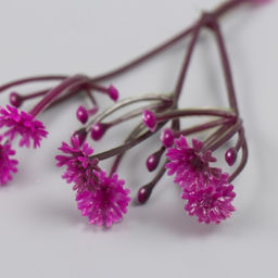 Искусственное растение для творчества Цикорий, набор 8 шт., фуксия, 10 см