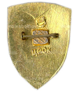 Значок Киев