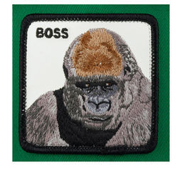 Детская бейсболка GOORIN BROTHERS арт. 201-0048 (зеленый)