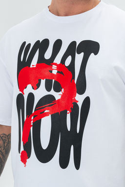 Футболка мужская 8507/1 оверсайз