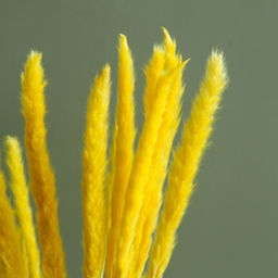 Сухоцвет Камыш набор 15 шт, цвет оранжевый - Simaland фото 2