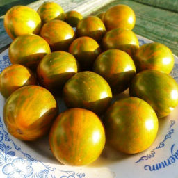 Помидоры - Orange & Green Zebra - Оранжево-Зеленая Зебра