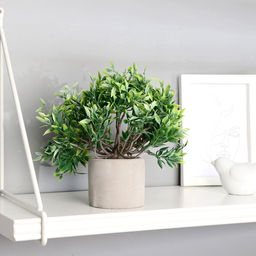 Искусственный цветок в горшке «Фрутикоса пышная», 14×20 см, МИКС