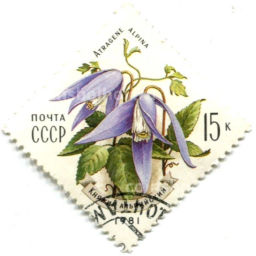 Марка Княжик альпийский 1981 год