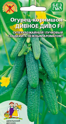 Огурец ДИВНОЕ ДИВО F1 Супер урожай! Пучковый! Сладкий, с нежным ароматом!