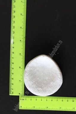 Молд лепесток, роза, L, арт. 0006 - No name фото 2