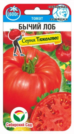 Бычий Лоб томат 20шт (сс)