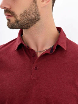 Джемпер мужской с воротником поло GREG G155-PM14T-LT7326 (бордо)  фото 2