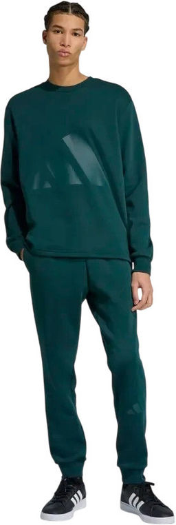 Спортивный костюм мужской