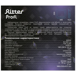 Прожектор светодиодный, серия PROFI, 230 В, 300 Вт, 6500К, 30000 Лм, IP65, чёрный