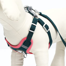 Комплект Sport+, М, поводок 120 x 1,5 см, ОШ 44-48 см, ОГ 51-60 см, вес животного 14-20 кг, зелёный - Пижон фото 6