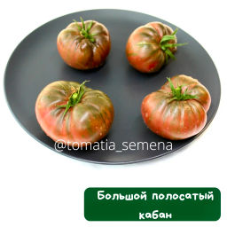 Большой полосатый кабан