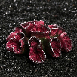 Декор для аквариума Коралл, диаметр 11 см - Simaland фото 2