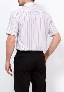 Сорочка мужская короткий рукав CASINO c731/0/4782/Z  фото 2