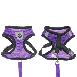 Цена за 2 шт. Шлейка с поводком 118см "Sweet puppy" размер S, цвет фиолетовый
