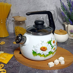 Чайник для плиты 2,0л 4с210я Ромашки лето белосн. сф. со св.