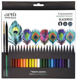 Набор акварельных карандашей АРТформат Blackwood 24 цв. трехгранные, деревянные, супермягк...