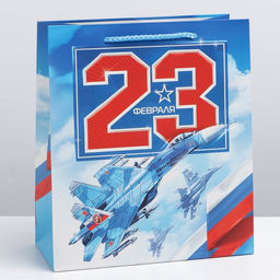 Цена за 3 шт. Пакет подарочный ламинированный, упаковка, «23 февраля», ML 23×27×11.5 см