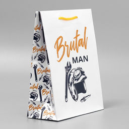 Цена за 2 шт. Пакет подарочный ламинированный, упаковка, Brutal man, MS, 23 х 18 х 8 см
