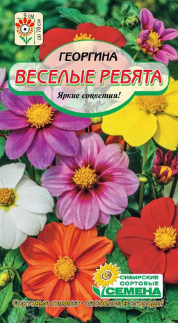 Веселые ребята, смесь 30-70см 0,2г георгина (ссс)