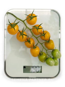 Томат Черри Софа - Партнер фото 8