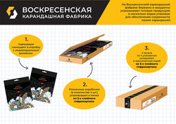 VISTA-ARTISTA Studio VACPS-48 Цветные карандаши набор заточенный 4 х 48 цв