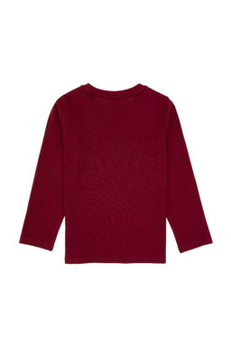 Erkek _ocuk Bordo Bisiklet Yaka Sweatshirt - U.s. polo assn фото 5