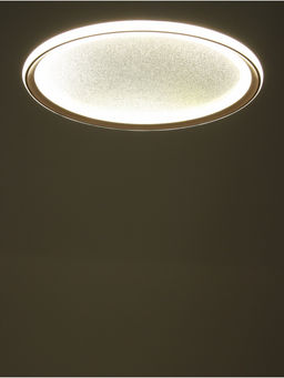 Люстра Irma 88 Вт LED 3000-6000К белый Ø50×5 см