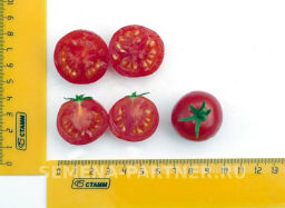 Томат Балконное Чудо Красный - Партнер фото 3