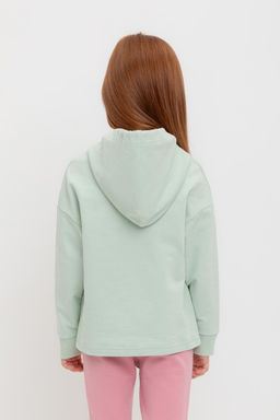 К 302489/дымчатый нефрит джемпер для дев