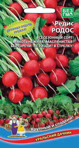 Редис РОДОС Дружная отдача урожая! Всесезонный сорт! Мякоть нежная, маслянистая! Без горечи! Не уходит в стрелку!