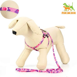 Комплект Камуфляж, капрон, поводок 120 х 1 см, ОГ 21-35 см, розово-фиолетовый