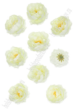 Головки цветов "Пион" 6 см (10 шт) SF-7874, белый