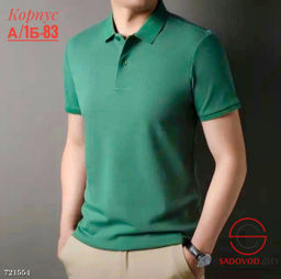 Мужская однотонная футболка-поло